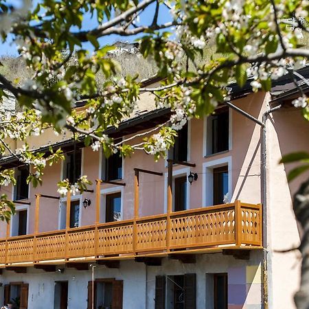 Emilio Apartments La Salle Dış mekan fotoğraf