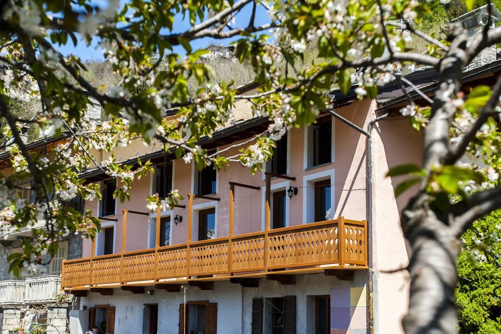 Emilio Apartments La Salle Dış mekan fotoğraf